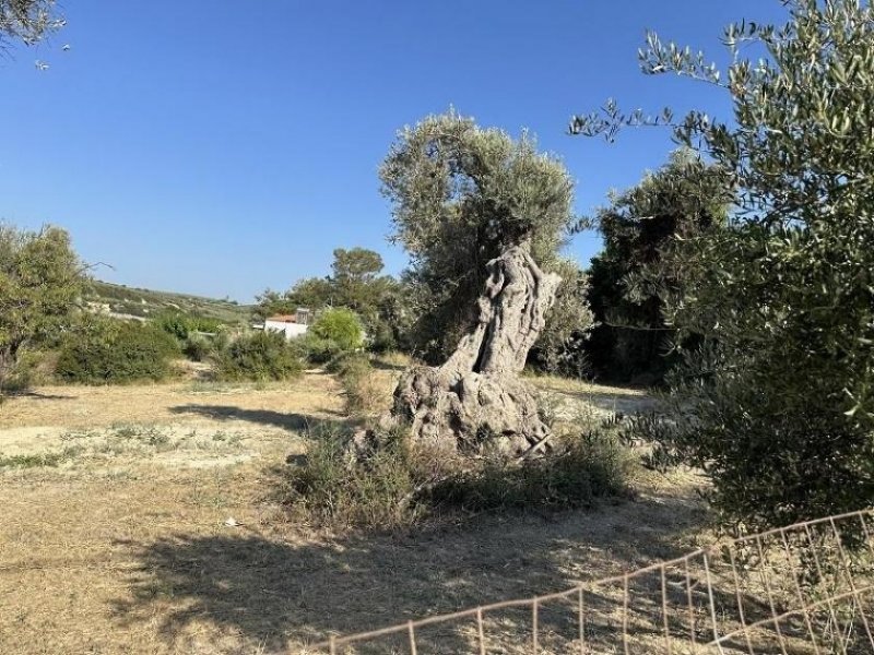 Sfakaki Kreta, Sfakaki: Grundstück mit Meerblick und Baugenehmigung für 3 Villas zu verkaufen Grundstück kaufen